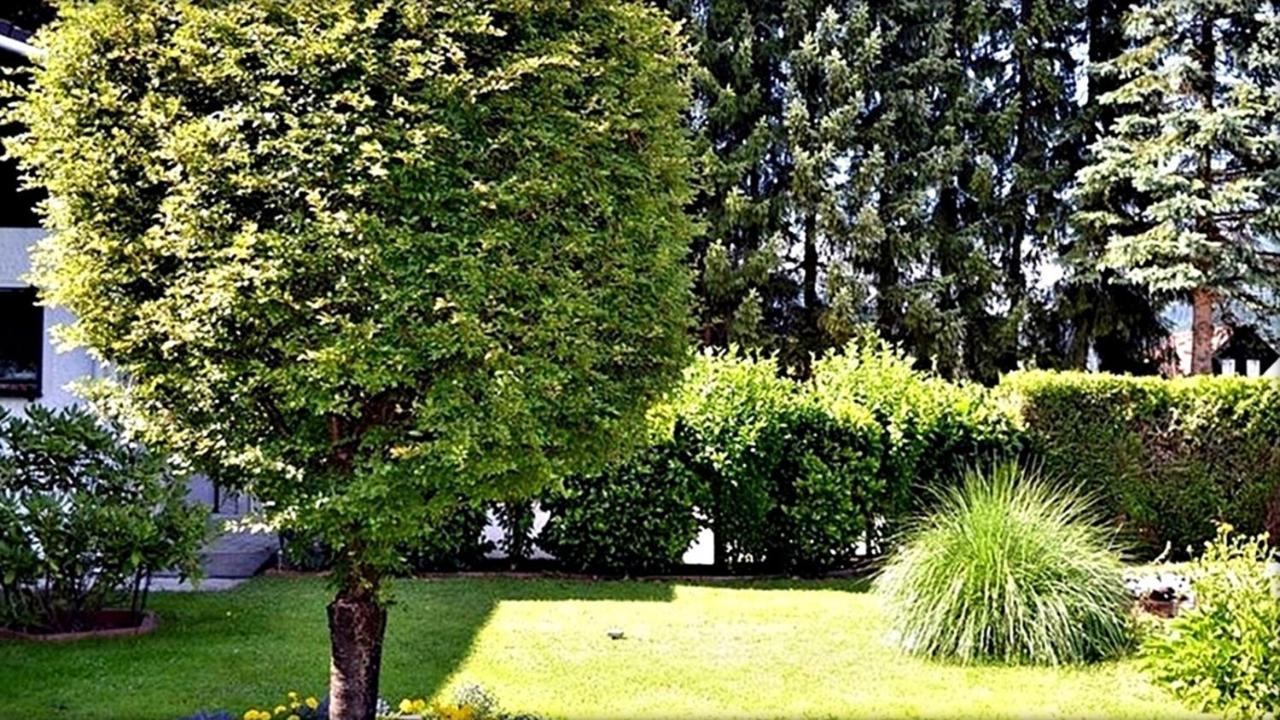 Ferienwohnung Neuhuber Bad Goisern Eksteriør billede